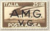 AMG-VG